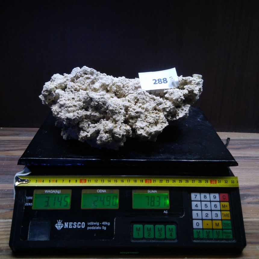 Sucha skała premium 3.145 kg (24.90 pln/kg) nr J288 INDONEZJA