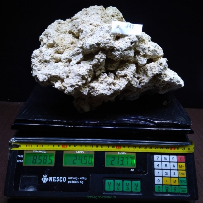 Sucha skała premium 8.585 kg (24.90 pln/kg) nr J41 INDONEZJA