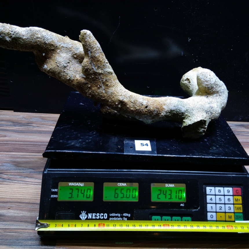 Żywa skała 3.74 kg (78 pln/kg) nr 54