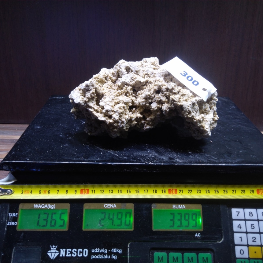 Sucha skała premium 1.365 kg (24.90 pln/kg) nr J300 INDONEZJA