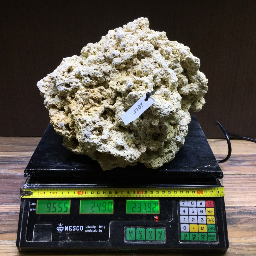 Sucha skała premium 9.555 kg (24.90 pln/kg) nr J167 INDONEZJA