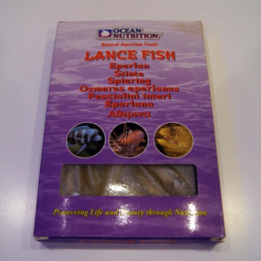 Lance Fish 100g (stynka)