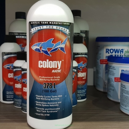 ATM COLONY Marine – dopalacz cyklu azotowego 946 ml (bakterie nitryfikujące)