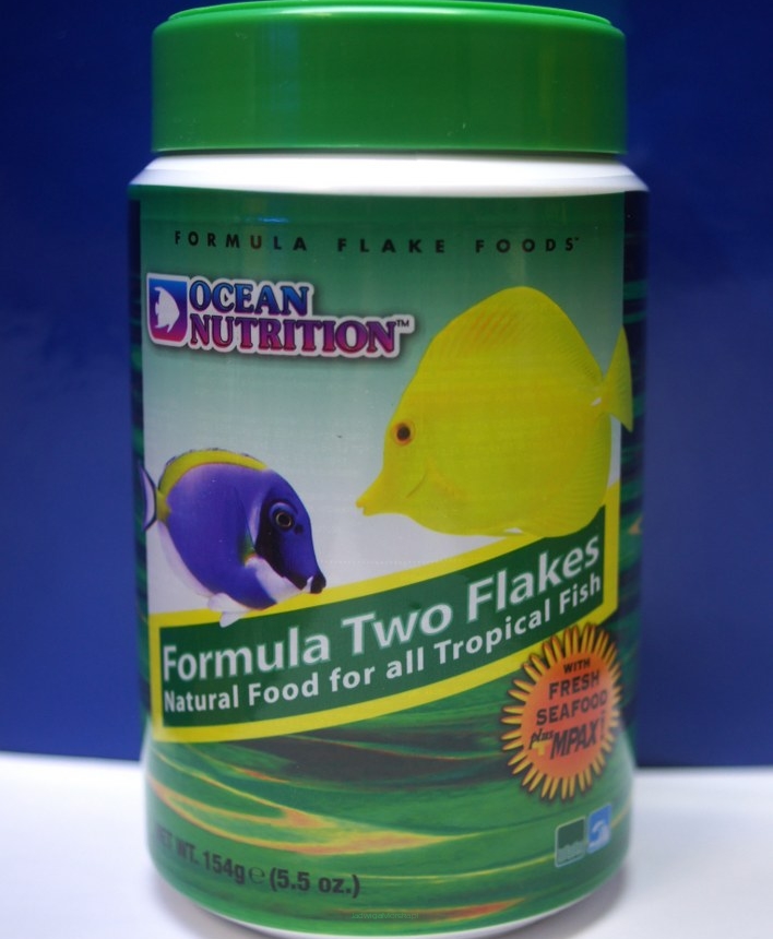 Ocean Nutrition Formula Two 156g płatki