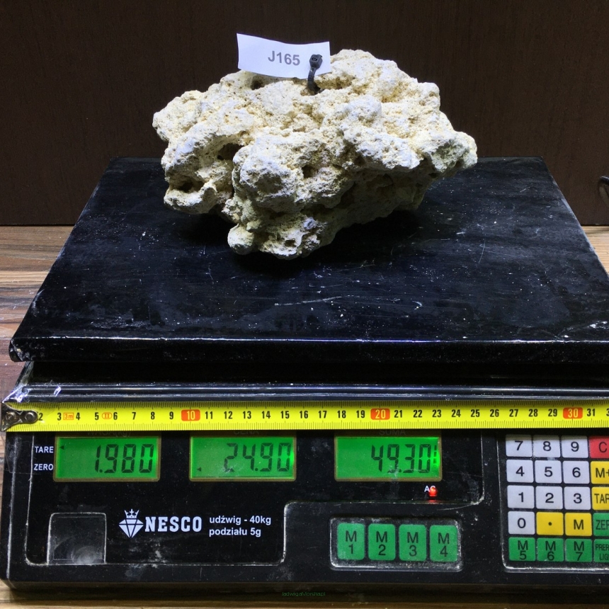 Sucha skała premium 1.98 kg (24.90 pln/kg) nr J165 INDONEZJA