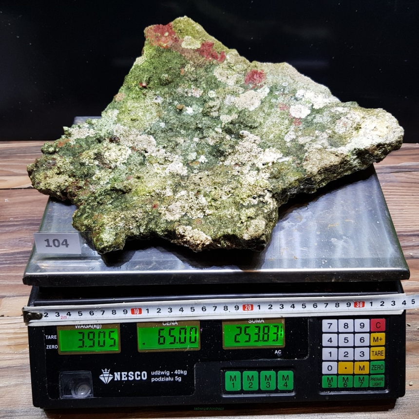 Żywa skała 3.905 kg (65 pln/kg) nr 104