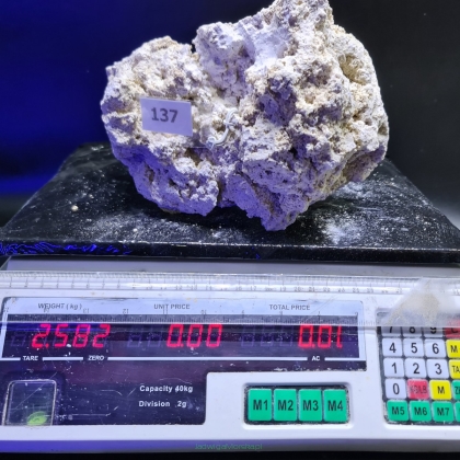Sucha skała premium 2.582 kg (24.90 pln/kg) nr 137 INDONEZJA