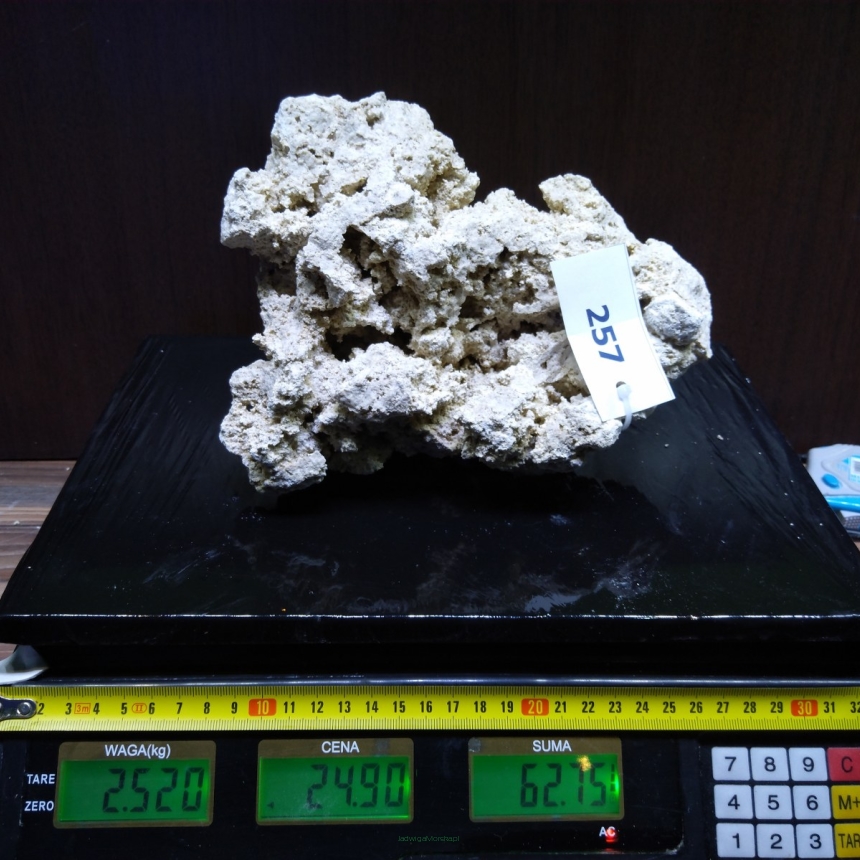 Sucha skała premium 2.52 kg (24.90 pln/kg) nr J257 INDONEZJA