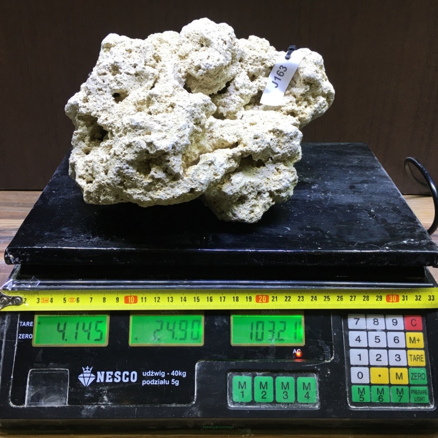 Sucha skała premium 4.145 kg (24.90 pln/kg) nr J163 INDONEZJA