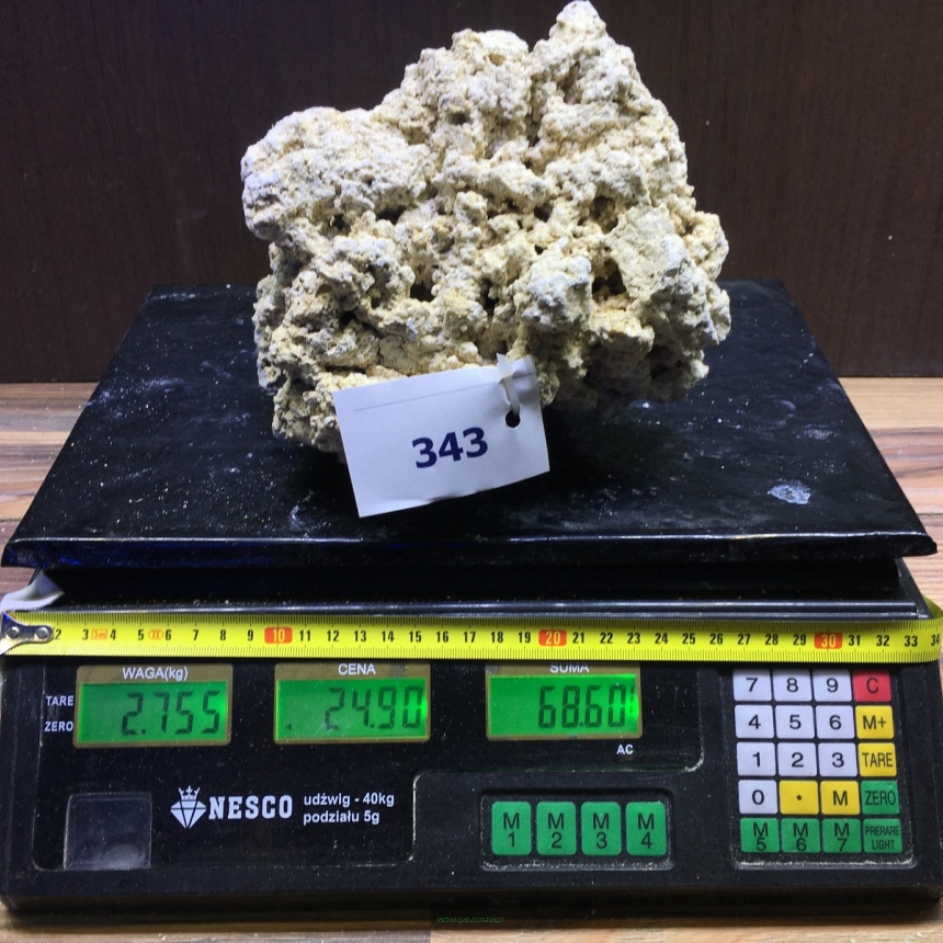 Sucha skała premium 2.755kg (24.90 pln/kg) nr J343 INDONEZJA