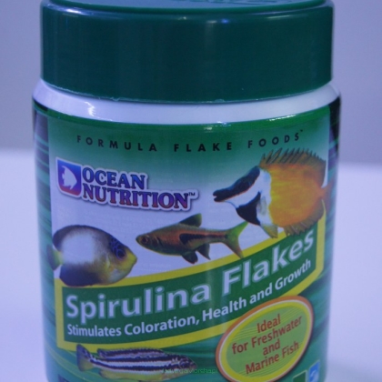 Ocean Nutrition Spirulina 71g płatki