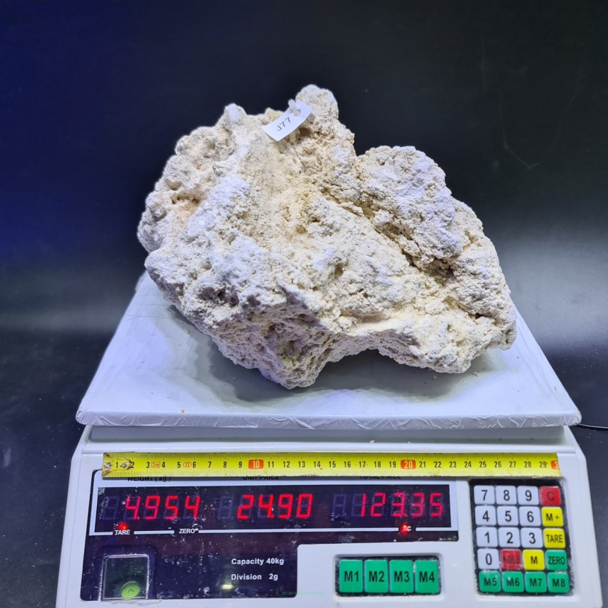 Sucha skała premium 4.954 kg (24.90 pln/kg) nr J77 INDONEZJA