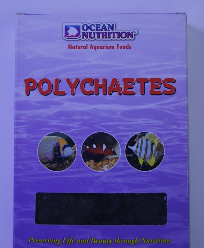 Polychaetes 100g (wieloszczety)