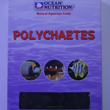 Polychaetes 100g (wieloszczety)