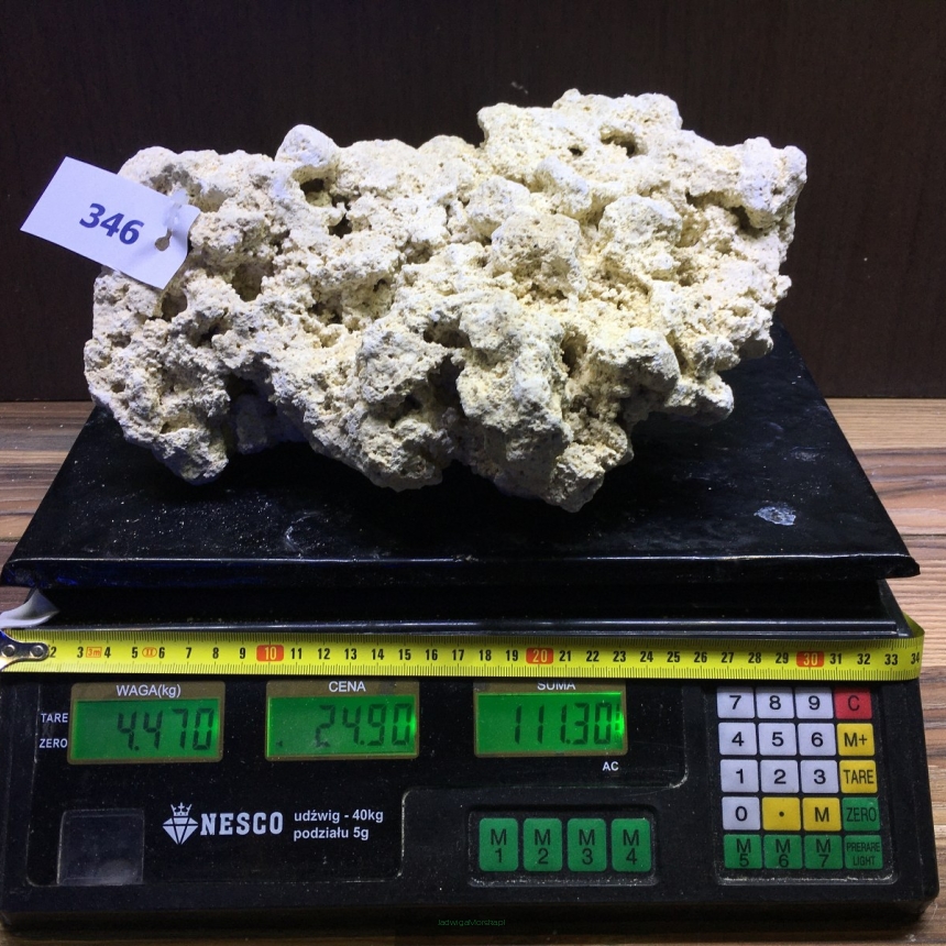Sucha skała premium 4.47kg (24.90 pln/kg) nr J346 INDONEZJA