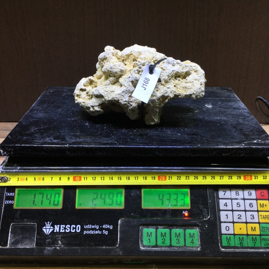 Sucha skała premium 1.74 kg (24.90 pln/kg) nr J168 INDONEZJA