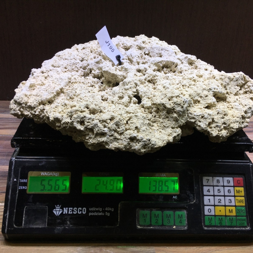 Sucha skała premium 5.565 kg (24.90 pln/kg) nr J195 INDONEZJA