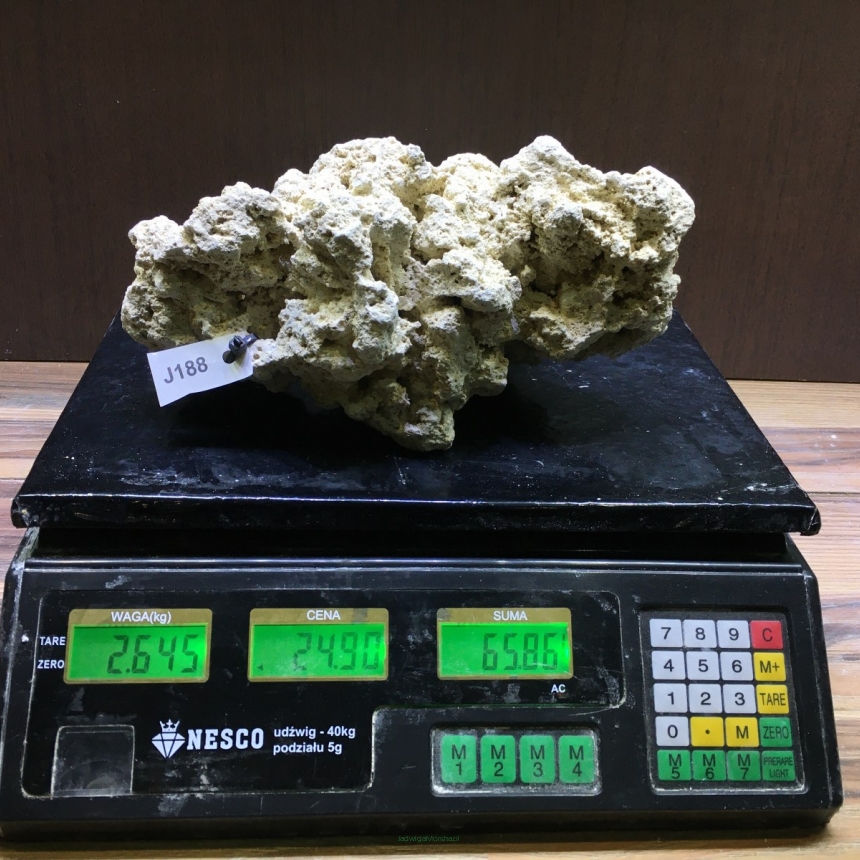 Sucha skała premium 2.645 kg (24.90 pln/kg) nr J188 INDONEZJA
