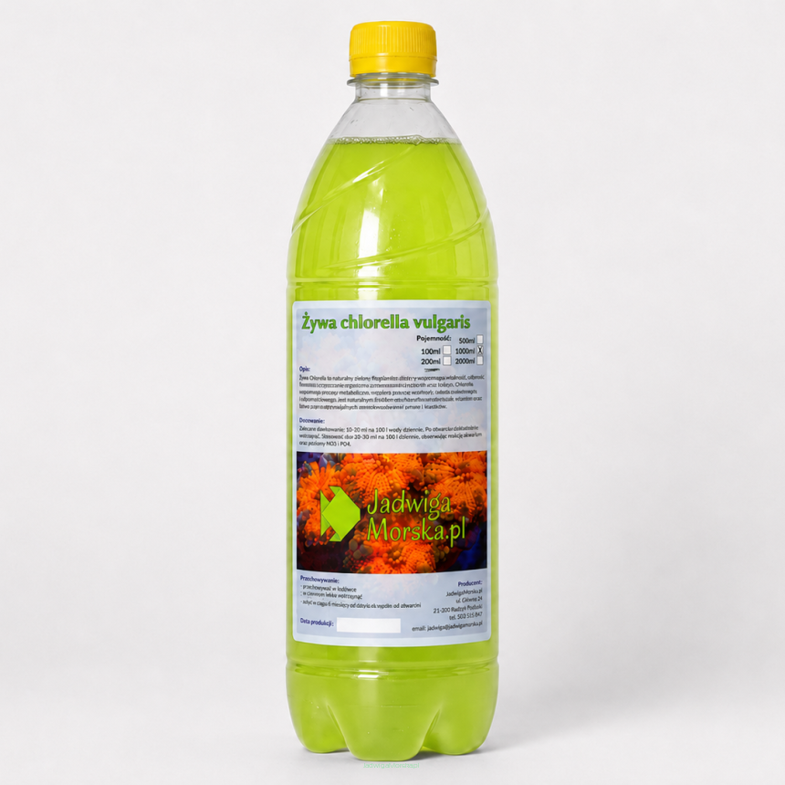 Chlorella vulgaris 1L (LIVE)