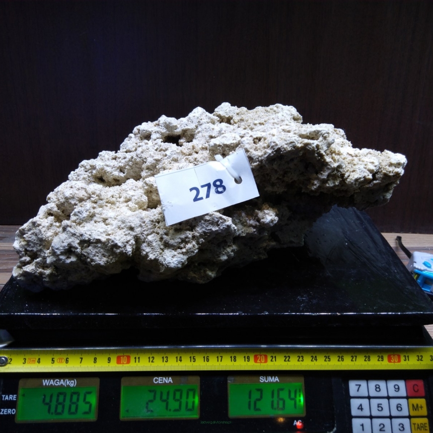 Sucha skała premium 4.885 kg (24.90 pln/kg) nr J278 INDONEZJA