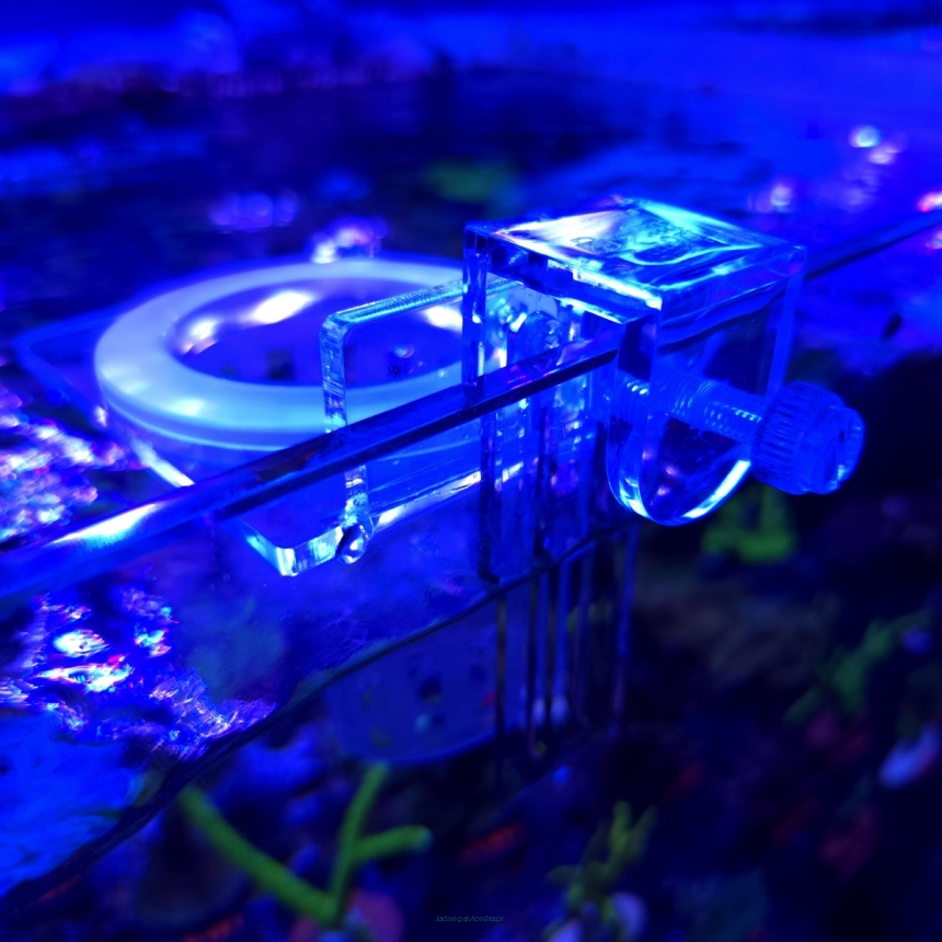 Mangrove holder model 1