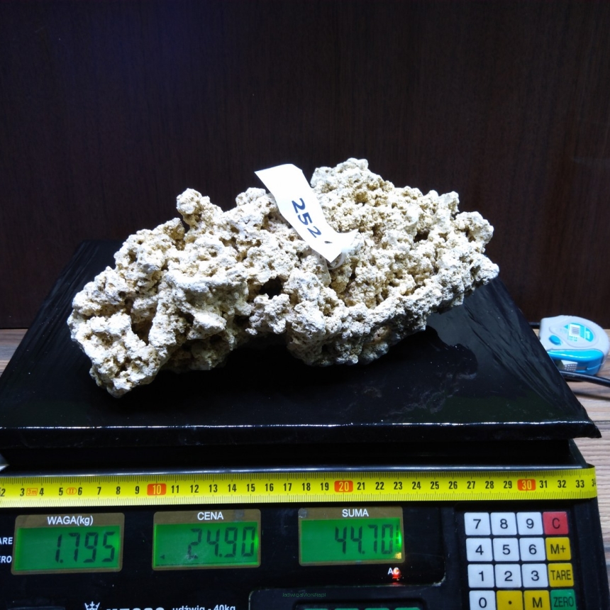 Sucha skała premium 1.795 kg (24.90 pln/kg) nr J252 INDONEZJA