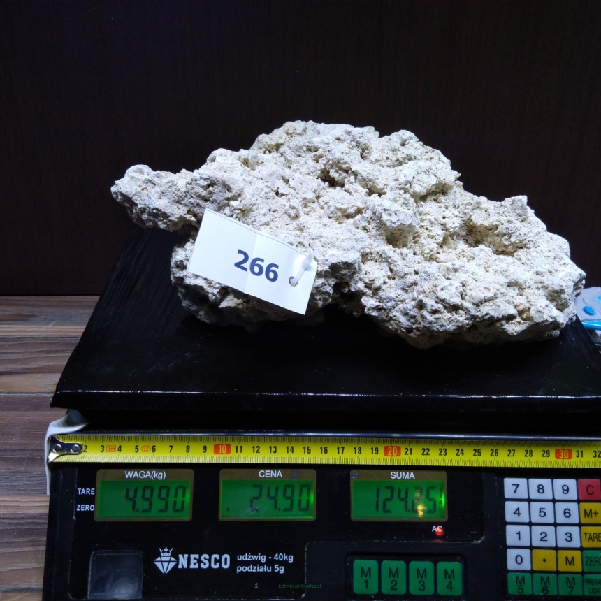 Sucha skała premium 4.99 kg (24.90 pln/kg) nr J266 INDONEZJA