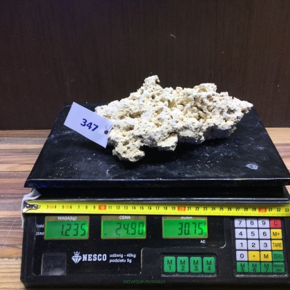 Sucha skała premium 1.235kg (24.90 pln/kg) nr J347 INDONEZJA
