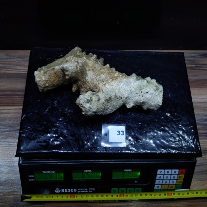 Żywa skała 1.415 kg (78 pln/kg) nr 33