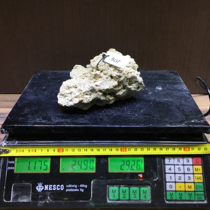 Sucha skała premium 1.175 kg (24.90 pln/kg) nr J170 INDONEZJA