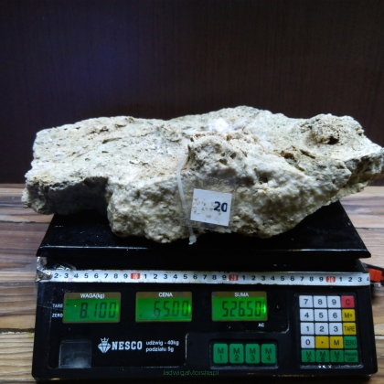 Żywa skała 8.1 kg (78 pln/kg) nr 20