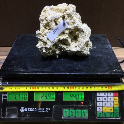 Sucha skała premium 1.77 kg (24.90 pln/kg) nr J171 INDONEZJA