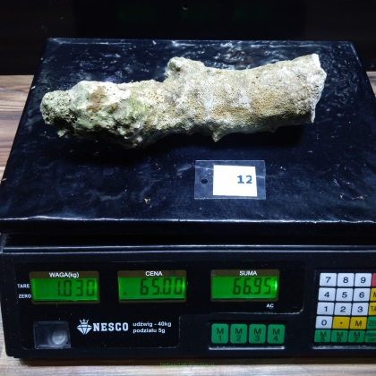 Żywa skała 1.03 kg (65 pln/kg) nr 12