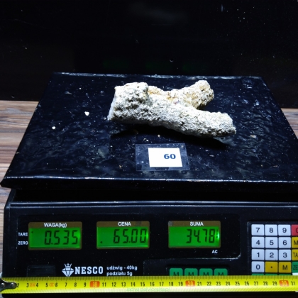Żywa skała 0.535 kg (65 pln/kg) nr 60