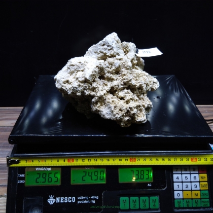 Sucha skała premium 2.965 kg (24.90 pln/kg) nr J122 INDONEZJA