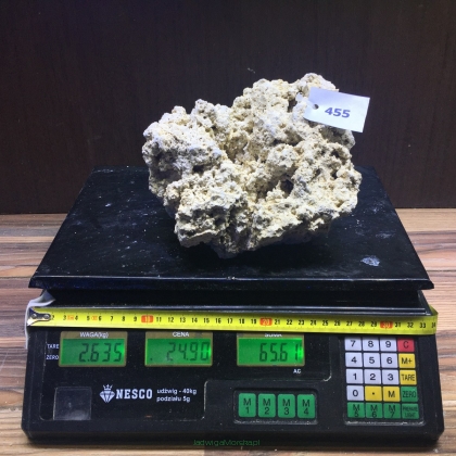 Sucha skała premium 2.635kg (24.90 pln/kg) nr J455 INDONEZJA