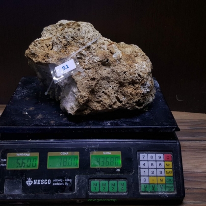 Żywa skała 5.6 kg (78 pln/kg) nr 51