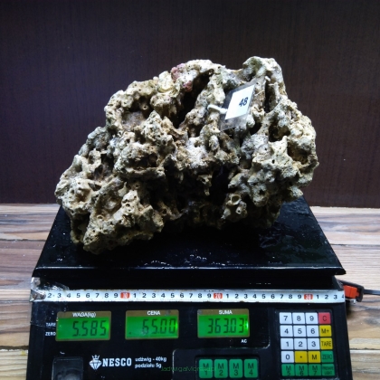 Żywa skała 5.585 kg (78 pln/kg) nr 48