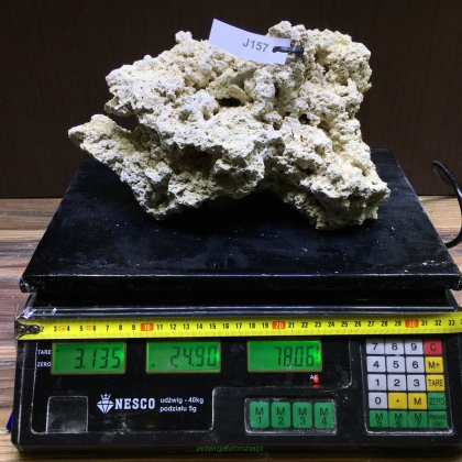 Sucha skała premium 3.135 kg (24.90 pln/kg) nr J157 INDONEZJA