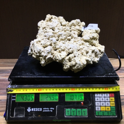 Sucha skała premium 4.305 kg (24.90 pln/kg) nr J156 INDONEZJA