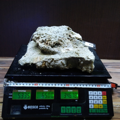 Żywa skała 5.335 kg (78 pln/kg) nr 17