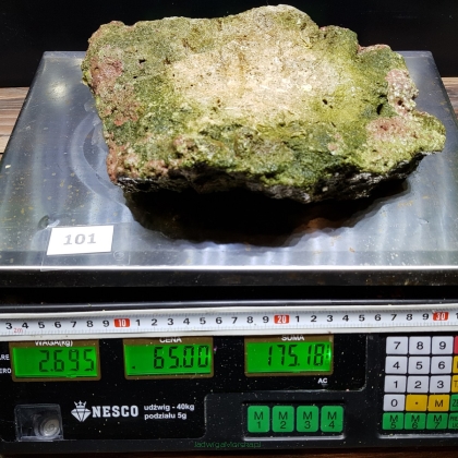 Żywa skała 2.695 kg (65 pln/kg) nr 101