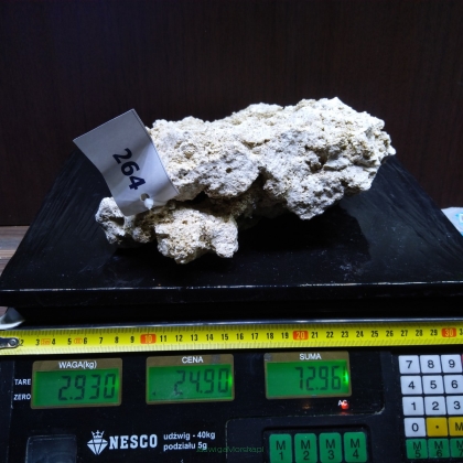Sucha skała premium 2.93 kg (24.90 pln/kg) nr J264 INDONEZJA