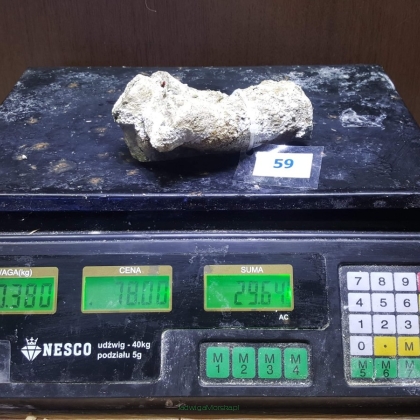 Żywa skała 0.38 kg (78 pln/kg) nr 59