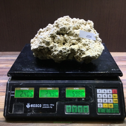 Sucha skała premium 2.405 kg (24.90 pln/kg) nr J224 INDONEZJA