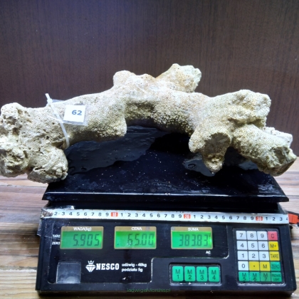 Żywa skała 5.905 kg (78 pln/kg) nr 62