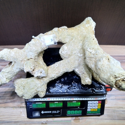 Żywa skała 8.4 kg (78 pln/kg) nr 3