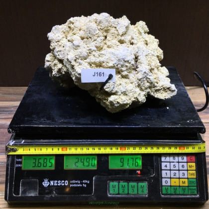Sucha skała premium 3.685 kg (24.90 pln/kg) nr J161 INDONEZJA