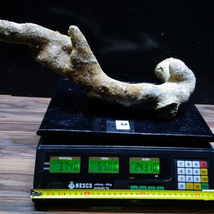 Żywa skała 3.74 kg (78 pln/kg) nr 54