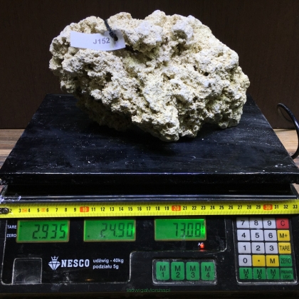 Sucha skała premium 2.935 kg (24.90 pln/kg) nr J152 INDONEZJA